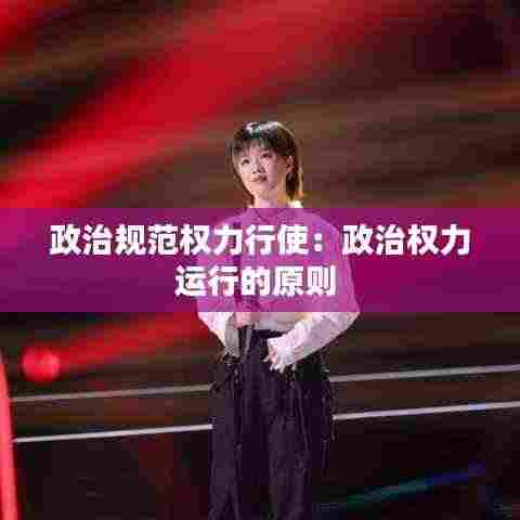 政治规范权力行使:政治权力运行的原则