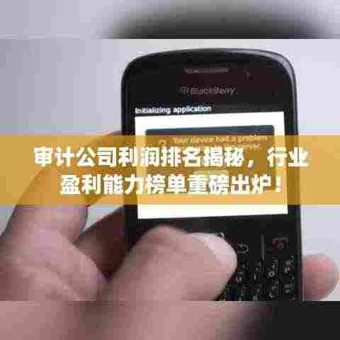 审计公司利润排名揭秘,行业盈利能力榜单重磅出炉!