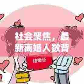 社会聚焦,最新离婚人数背后的深度解析