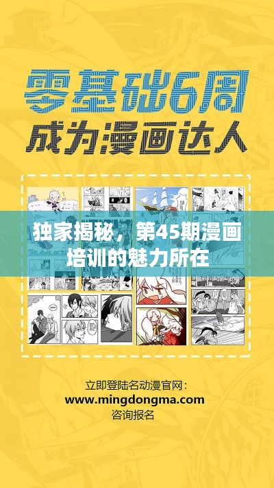 独家揭秘,第45期漫画培训的魅力所在