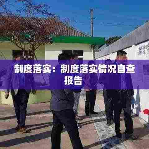 制度落实:制度落实情况自查报告