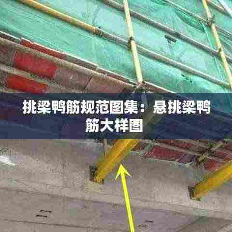 挑梁鸭筋规范图集:悬挑梁鸭筋大样图