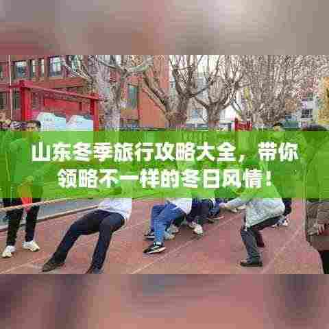 山东冬季旅行攻略大全,带你领略不一样的冬日风情!