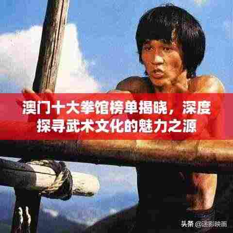 澳门十大拳馆榜单揭晓,深度探寻武术文化的魅力之源