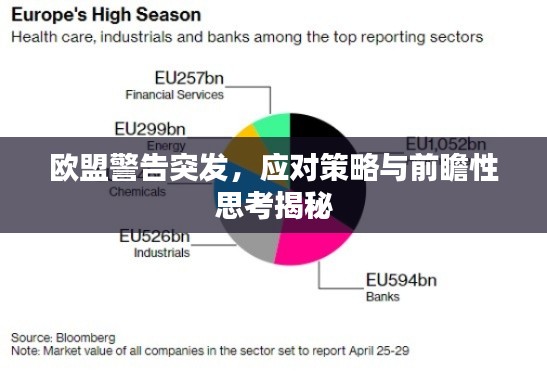 欧盟警告突发,应对策略与前瞻性思考揭秘