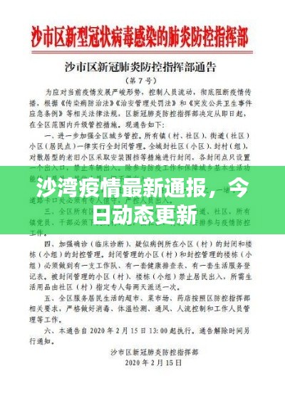 沙湾疫情最新通报,今日动态更新