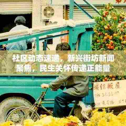 社区动态速递,新兴街坊新闻聚焦,民生关怀传递正能量