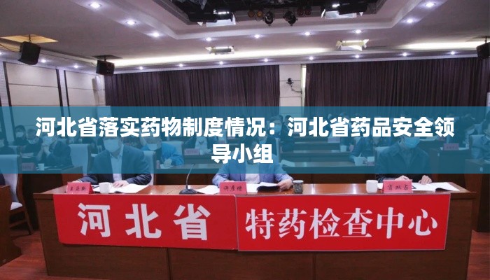 河北省落实药物制度情况：河北省药品安全领导小组 