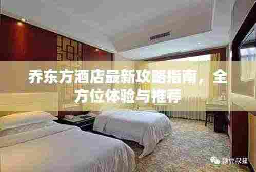 乔东方酒店最新攻略指南，全方位体验与推荐