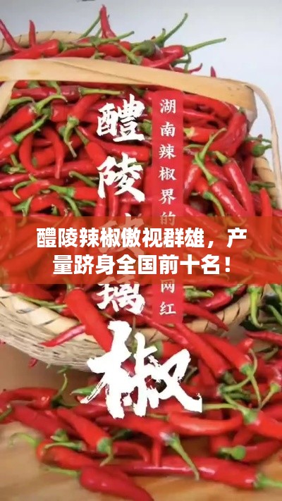 醴陵辣椒傲视群雄,产量跻身全国前十名!