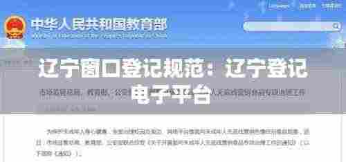 辽宁窗口登记规范:辽宁登记电子平台