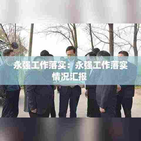 永强工作落实:永强工作落实情况汇报