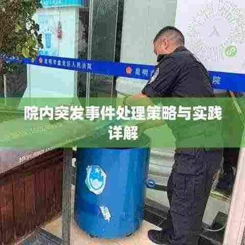 院内突发事件处理策略与实践详解