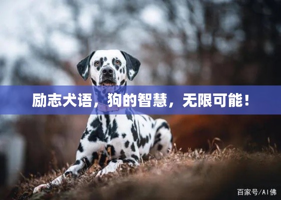 励志犬语,狗的智慧,无限可能!
