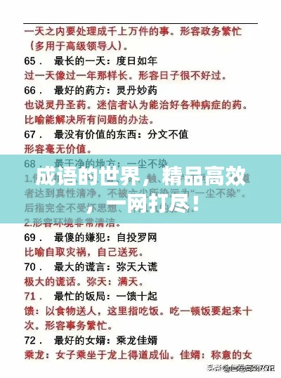 成语的世界,精品高效,一网打尽!