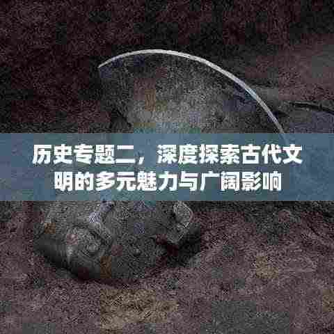 历史专题二，深度探索古代文明的多元魅力与广阔影响