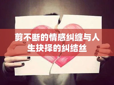 剪不断的情感纠缠与人生抉择的纠结丝