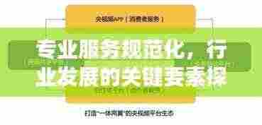 专业服务规范化,行业发展的关键要素探讨
