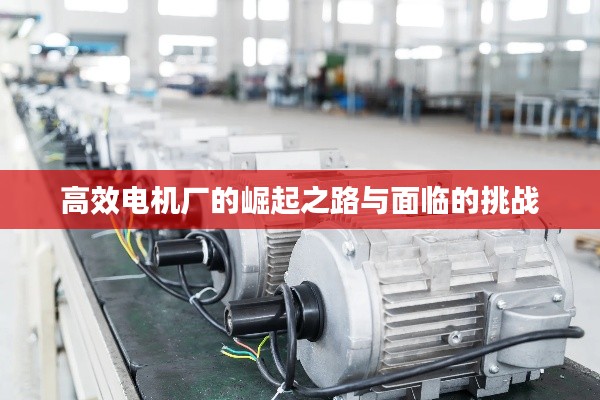 高效电机厂的崛起之路与面临的挑战