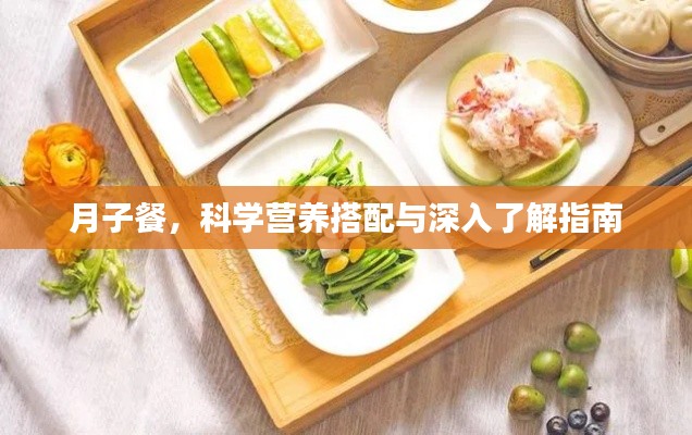 月子餐,科学营养搭配与深入了解指南