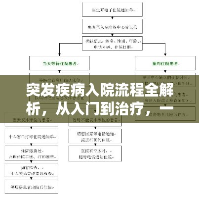突发疾病入院流程全解析,从入门到治疗,一篇文章搞定!