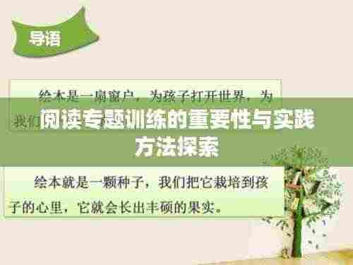 阅读专题训练的重要性与实践方法探索