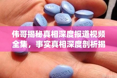 伟哥揭秘真相深度报道视频全集,事实真相深度剖析揭秘!