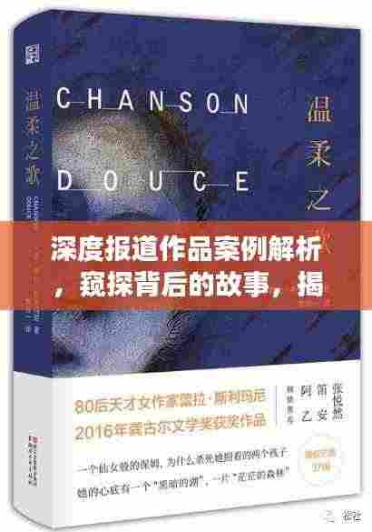 深度报道作品案例解析,窥探背后的故事,揭示真相的魅力
