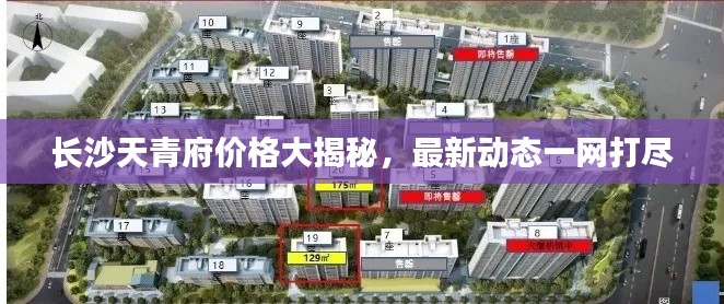 长沙天青府价格大揭秘，最新动态一网打尽
