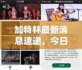 加特林最新消息速递,今日动态一网打尽!