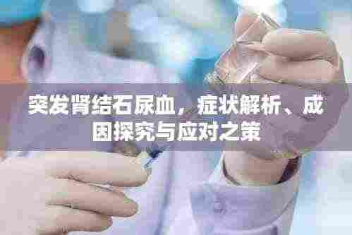 突发肾结石尿血,症状解析、成因探究与应对之策