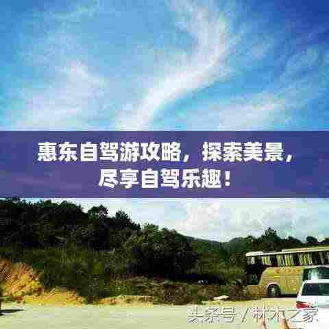 惠东自驾游攻略，探索美景，尽享自驾乐趣！