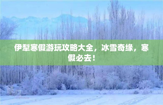 伊犁寒假游玩攻略大全,冰雪奇缘,寒假必去!