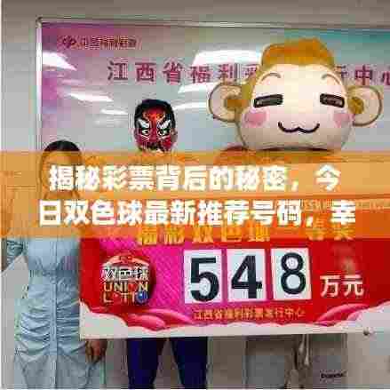 揭秘彩票背后的秘密,今日双色球最新推荐号码,幸运就在今日!