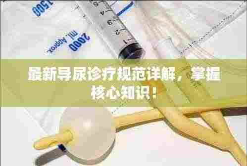 最新导尿诊疗规范详解,掌握核心知识!