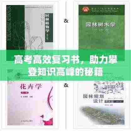 高考高效复习书,助力攀登知识高峰的秘籍