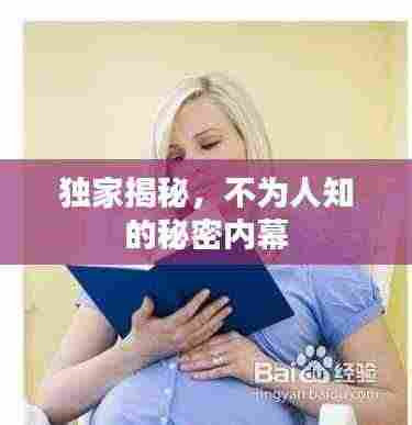 独家揭秘，不为人知的秘密内幕