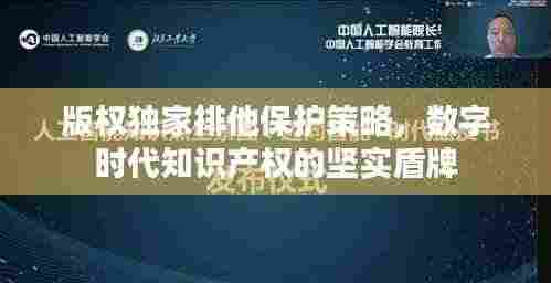 版权独家排他保护策略，数字时代知识产权的坚实盾牌