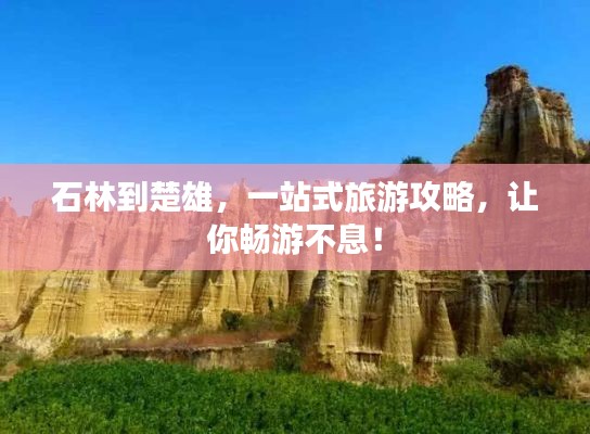 博古通今 第3页