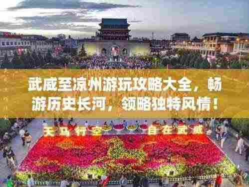 武威至凉州游玩攻略大全,畅游历史长河,领略独特风情!