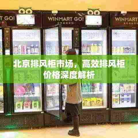 北京排风柜市场,高效排风柜价格深度解析