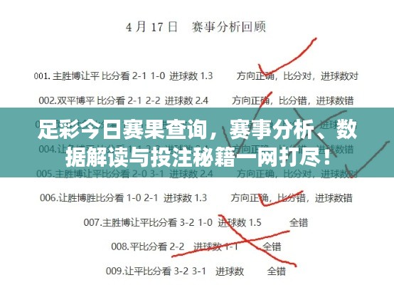 足彩今日赛果查询,赛事分析、数据解读与投注秘籍一网打尽!