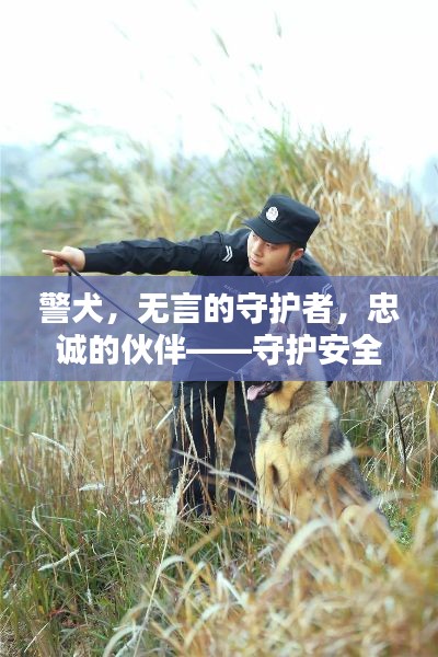 警犬，无言的守护者，忠诚的伙伴——守护安全与信赖的力量
