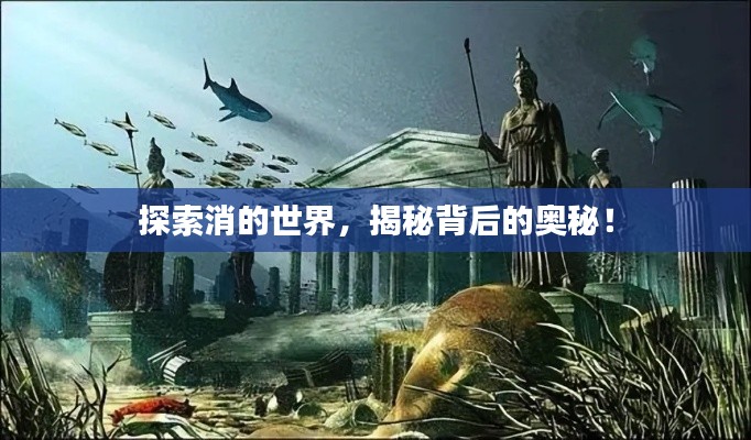 探索消的世界,揭秘背后的奥秘!