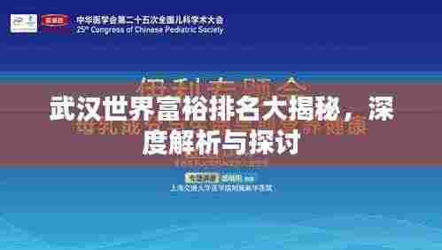 武汉世界富裕排名大揭秘,深度解析与探讨