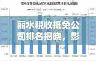 丽水税收抵免公司排名揭晓,影响力深度分析