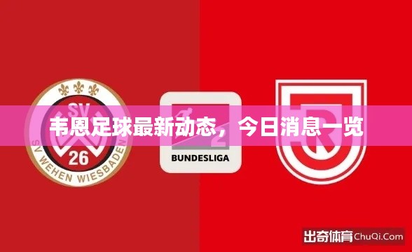韦恩足球最新动态，今日消息一览
