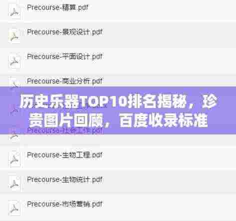 历史乐器TOP10排名揭秘，珍贵图片回顾，百度收录标准吸睛标题