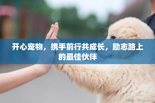 开心宠物,携手前行共成长,励志路上的最佳伙伴