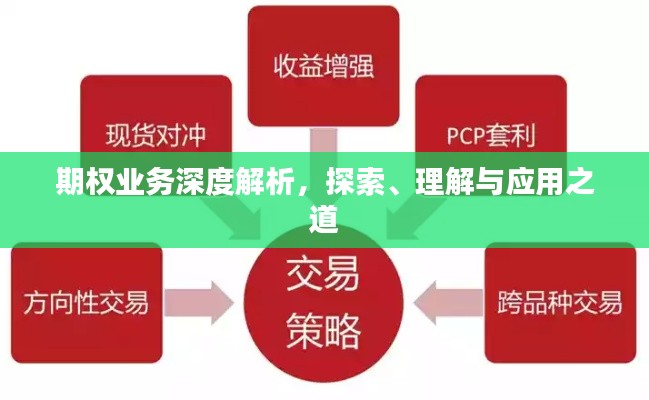 期权业务深度解析,探索、理解与应用之道